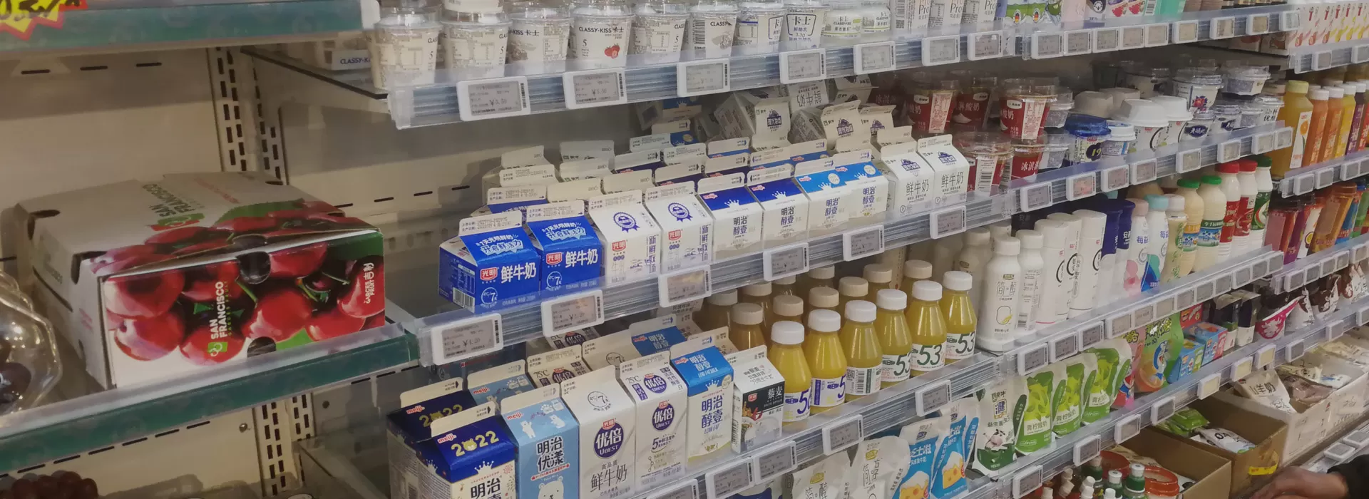 ESLアクセサリー